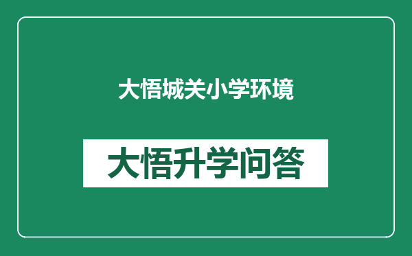 大悟城关小学环境