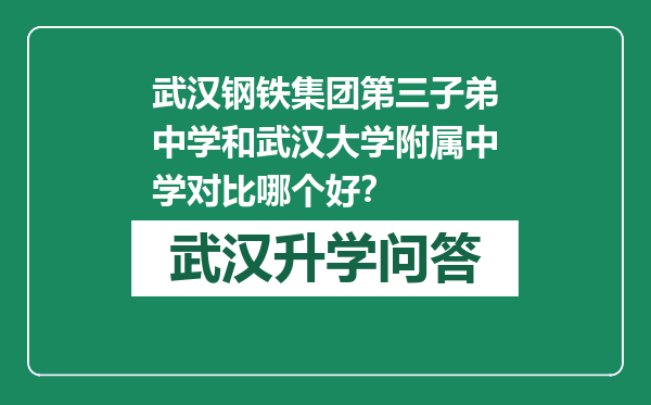 武汉钢铁集团第三子弟中学和武汉大学附属中学对比哪个好？