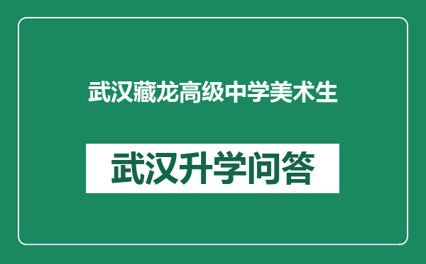 武汉藏龙高级中学美术生