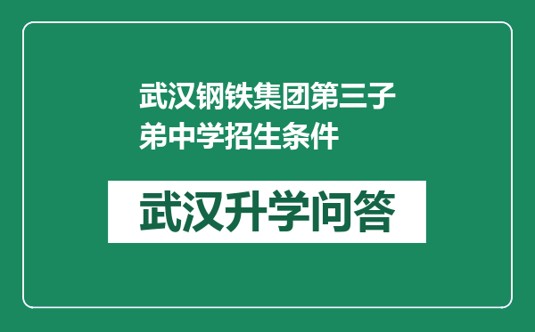 武汉钢铁集团第三子弟中学招生条件