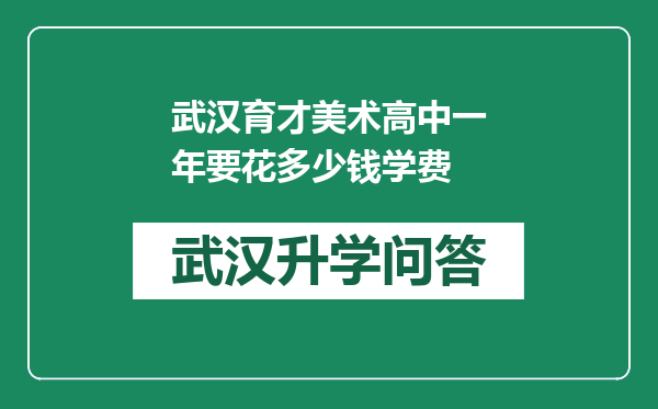 武汉育才美术高中一年要花多少钱学费