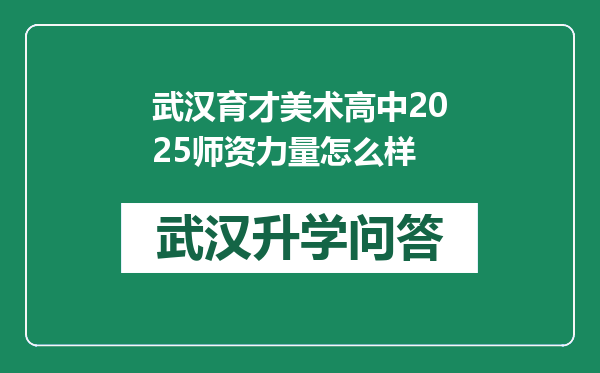 武汉育才美术高中2025师资力量怎么样