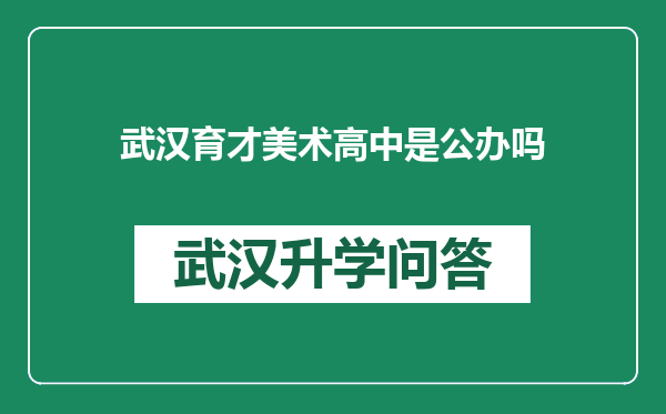 武汉育才美术高中是公办吗
