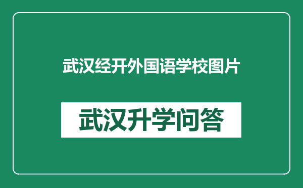 武汉经开外国语学校图片