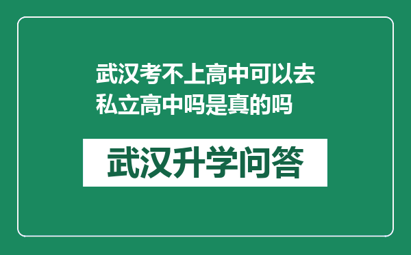 武汉考不上高中可以去私立高中吗是真的吗