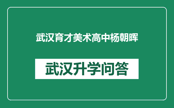 武汉育才美术高中杨朝晖