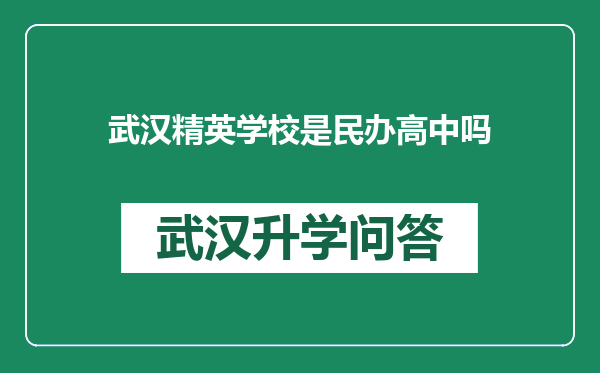 武汉精英学校是民办高中吗