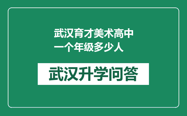 武汉育才美术高中一个年级多少人
