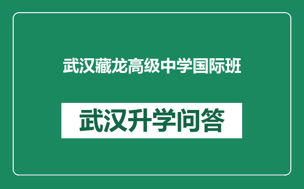 武汉藏龙高级中学国际班