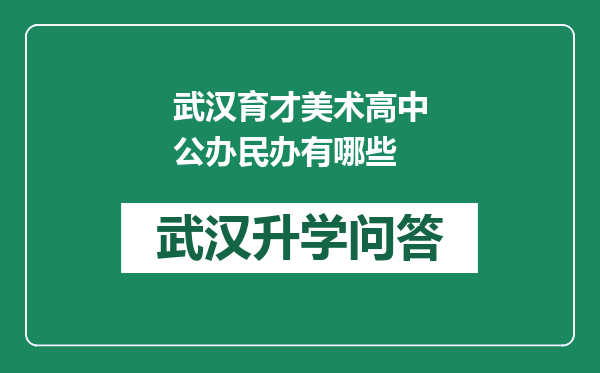 武汉育才美术高中公办民办有哪些