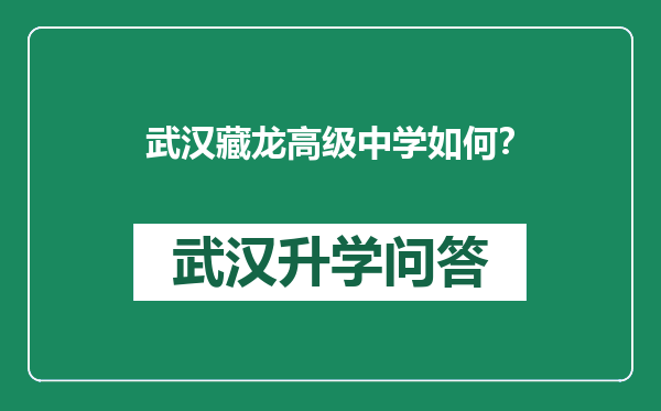 武汉藏龙高级中学如何？