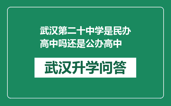 武汉第二十中学是民办高中吗还是公办高中