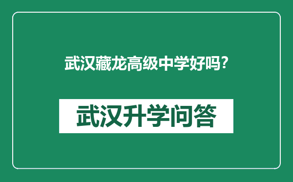 武汉藏龙高级中学好吗？