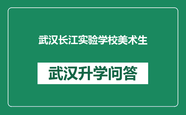 武汉长江实验学校美术生