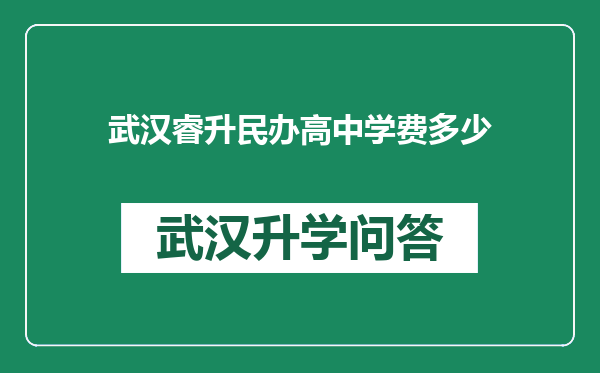 武汉睿升民办高中学费多少