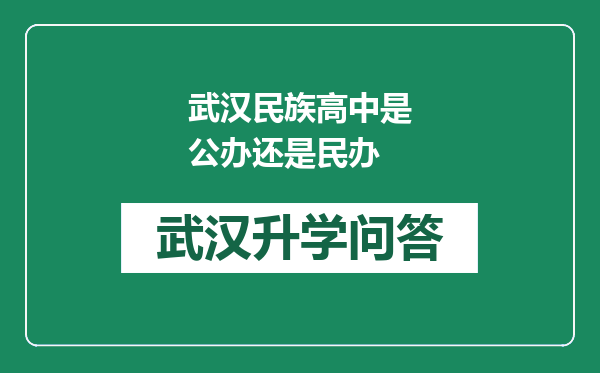 武汉民族高中是公办还是民办