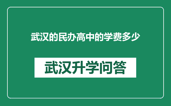 武汉的民办高中的学费多少