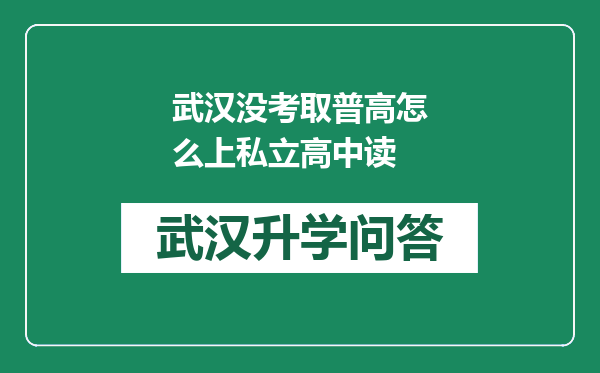 武汉没考取普高怎么上私立高中读