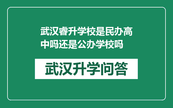 武汉睿升学校是民办高中吗还是公办学校吗