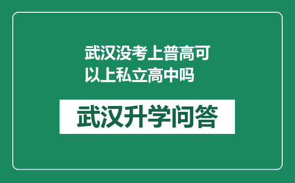 武汉没考上普高可以上私立高中吗
