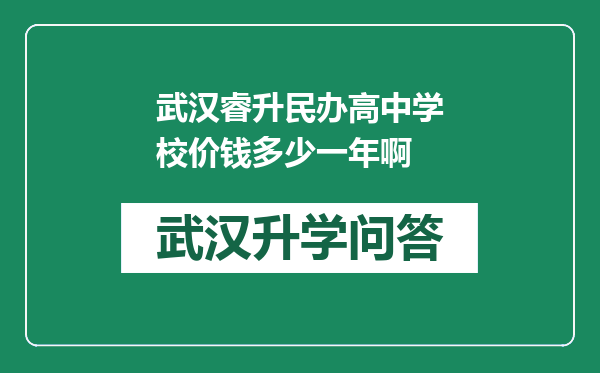 武汉睿升民办高中学校价钱多少一年啊