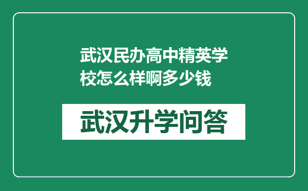 武汉民办高中精英学校怎么样啊多少钱