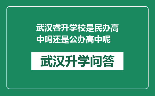 武汉睿升学校是民办高中吗还是公办高中呢