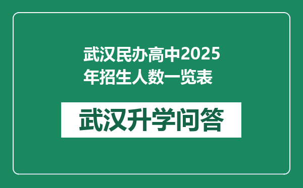 武汉民办高中2025年招生人数一览表