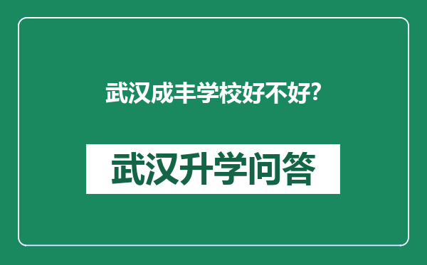 武汉成丰学校好不好？