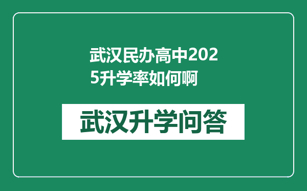 武汉民办高中2025升学率如何啊