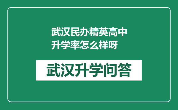 武汉民办精英高中升学率怎么样呀