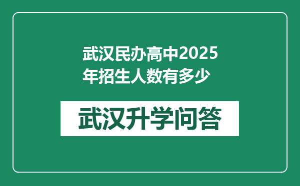 武汉民办高中2025年招生人数有多少