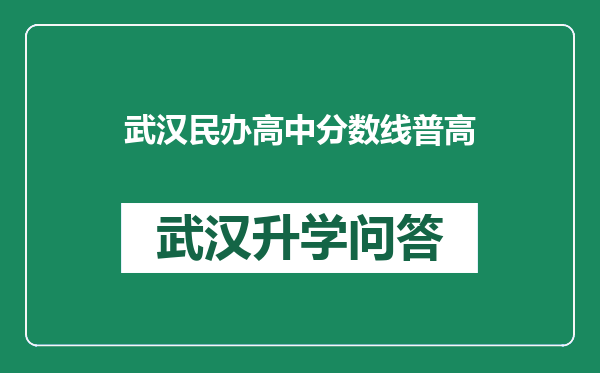 武汉民办高中分数线普高