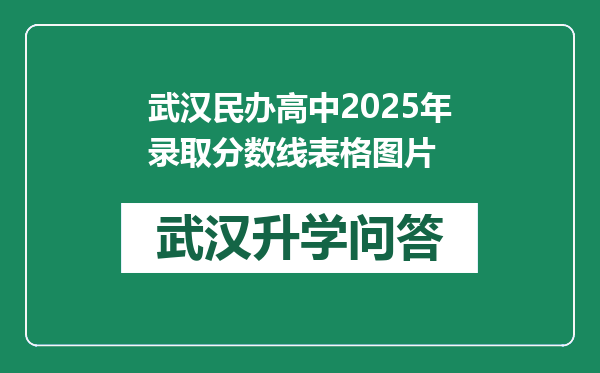 武汉民办高中2025年录取分数线表格图片