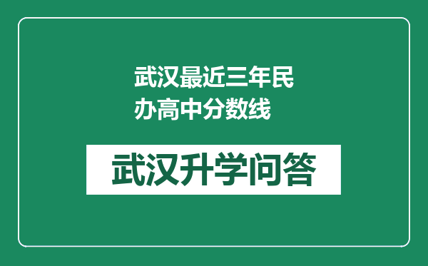 武汉最近三年民办高中分数线