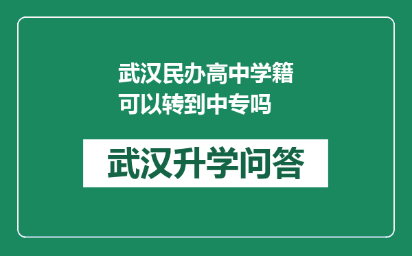 武汉民办高中学籍可以转到中专吗