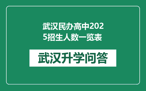 武汉民办高中2025招生人数一览表