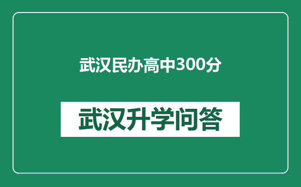 武汉民办高中300分