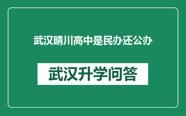 武汉晴川高中是民办还公办