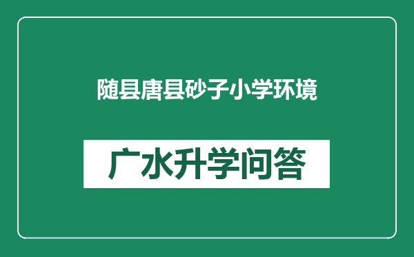 随县唐县砂子小学环境