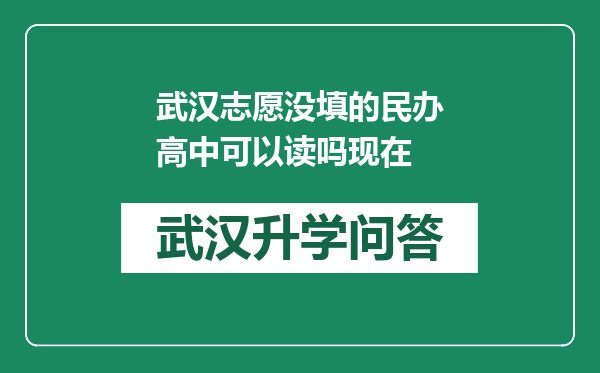 武汉志愿没填的民办高中可以读吗现在