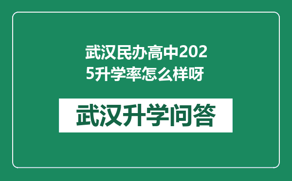 武汉民办高中2025升学率怎么样呀