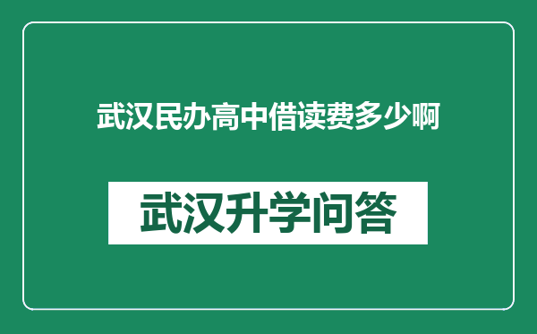 武汉民办高中借读费多少啊