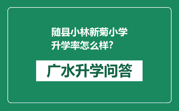 随县小林新菊小学升学率怎么样？
