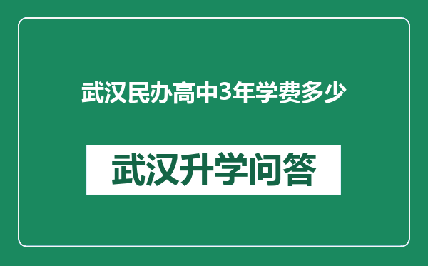 武汉民办高中3年学费多少