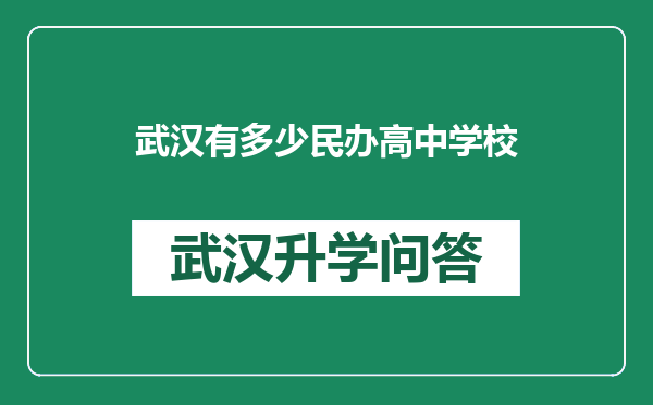 武汉有多少民办高中学校