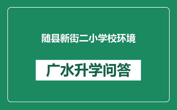 随县新街二小学校环境