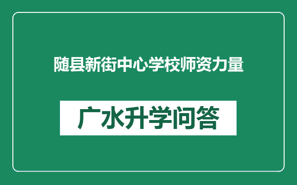 随县新街中心学校师资力量