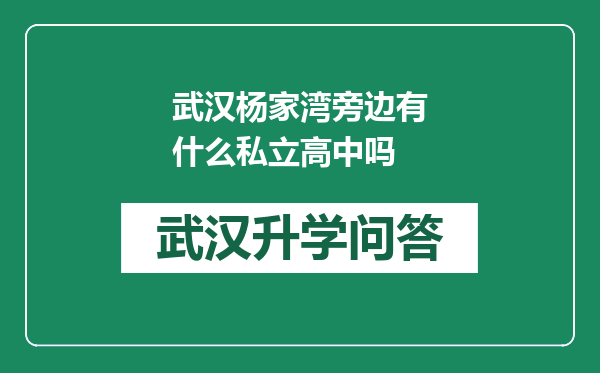 武汉杨家湾旁边有什么私立高中吗