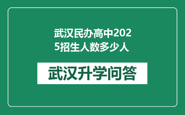 武汉民办高中2025招生人数多少人
